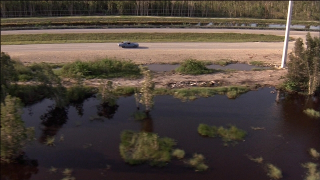 Wide shot frame from Ace Ventura: Pet Detective — street, car, water
