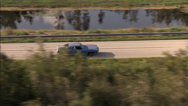 Ace Ventura: Pet Detective — film still