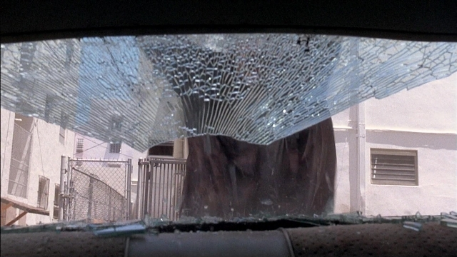 Ace Ventura: Pet Detective — film still