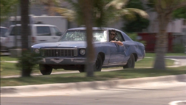 Ace Ventura: Pet Detective — film still