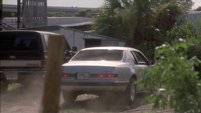 Wide shot frame from Ace Ventura: Pet Detective — street, car, smoke