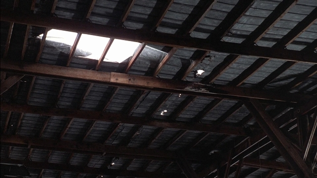 Wide shot frame from Ace Ventura: Pet Detective — window