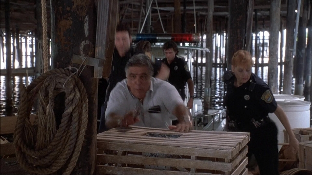 Ace Ventura: Pet Detective — film still