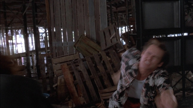 Ace Ventura: Pet Detective — film still