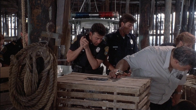 Ace Ventura: Pet Detective — film still