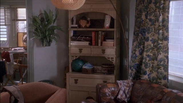Ace Ventura: Pet Detective — film still