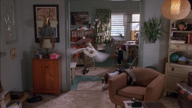 Ace Ventura: Pet Detective — film still