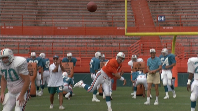 Wide shot frame from Ace Ventura: Pet Detective — ball, person, footwear