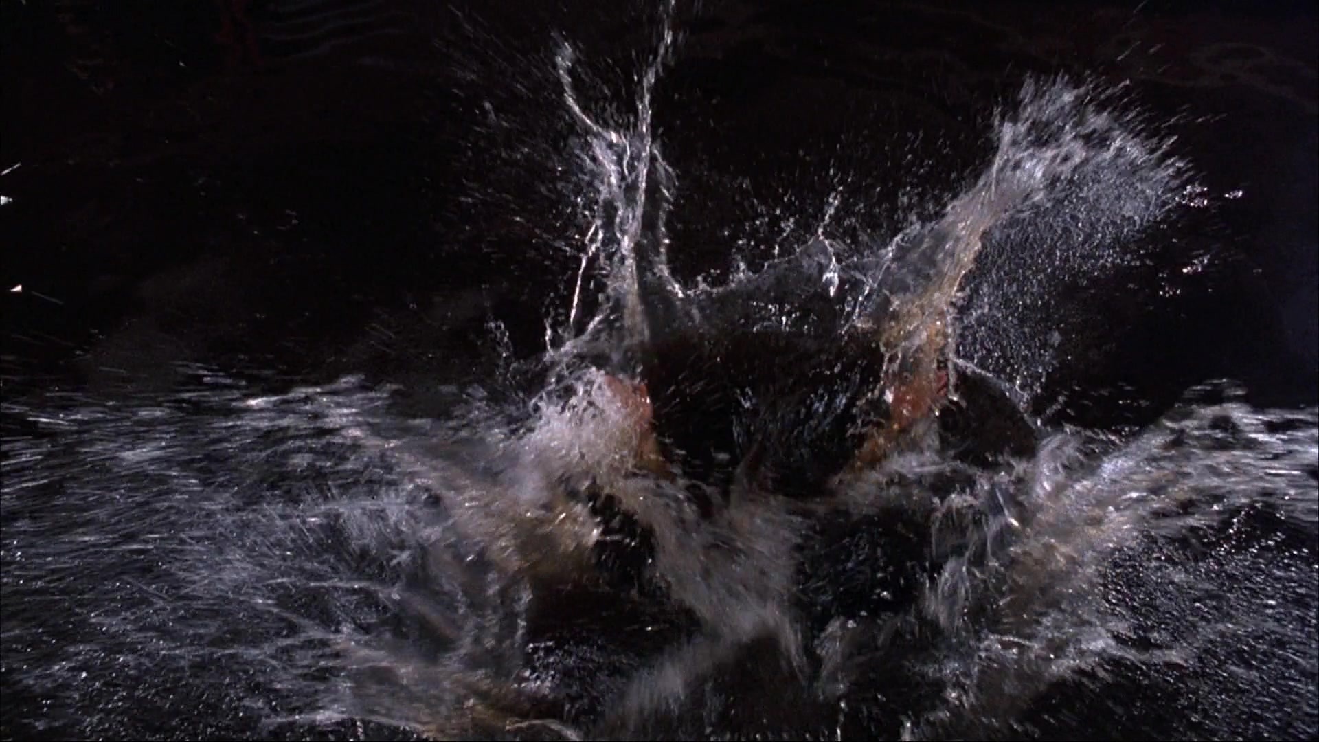 Ace Ventura: Pet Detective (1993), wide, 1.78:1 — film still