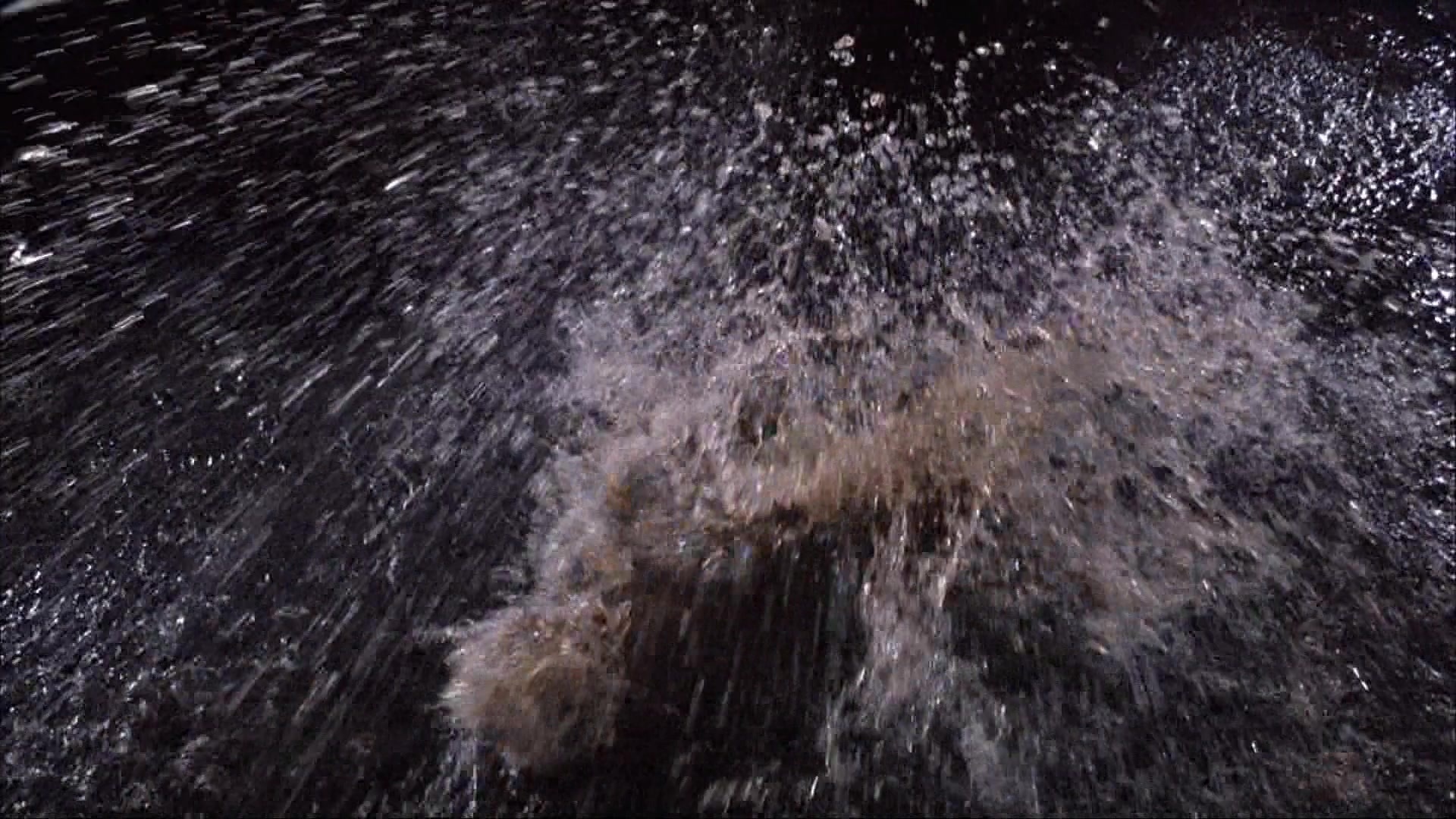 Ace Ventura: Pet Detective (1993), unknown, 1.78:1 — film still
