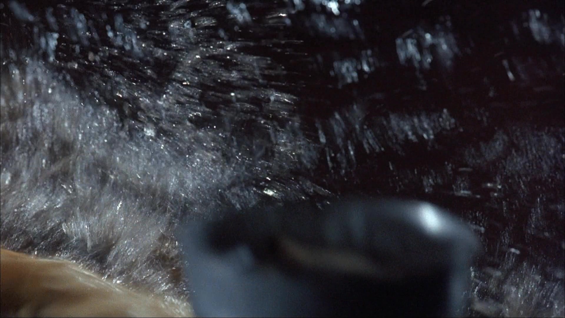 Ace Ventura: Pet Detective (1993), wide, 1.78:1 — film still