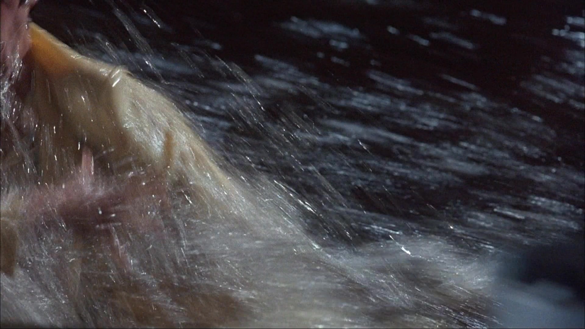 Ace Ventura: Pet Detective (1993), unknown, 1.78:1 — film still