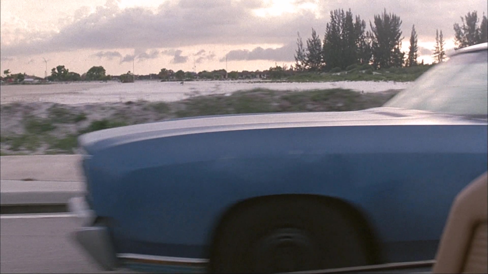 Ace Ventura: Pet Detective (1993), wide, 1.78:1 — film still