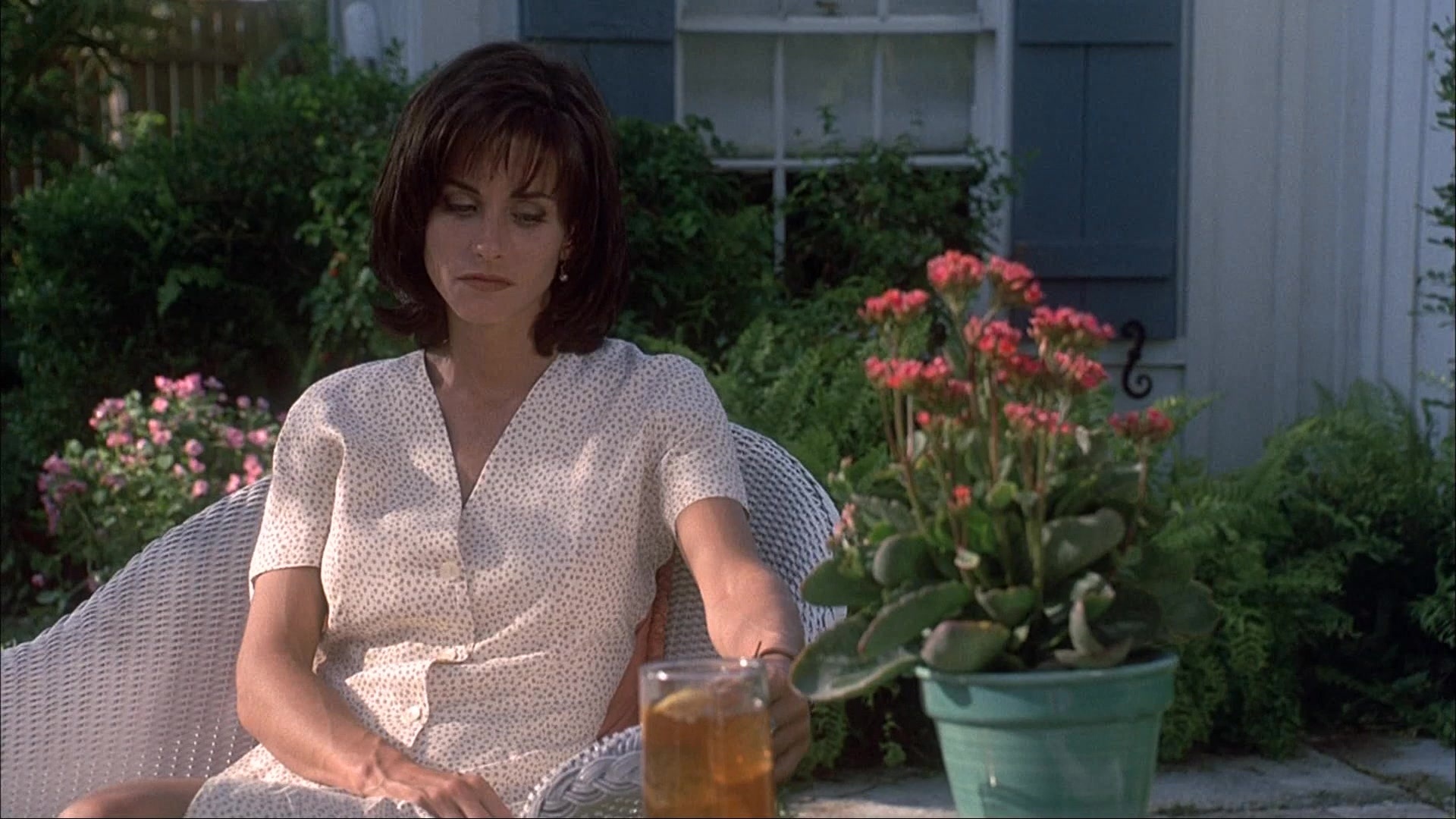 Ace Ventura: Pet Detective (1993), wide, 1.78:1 — film still