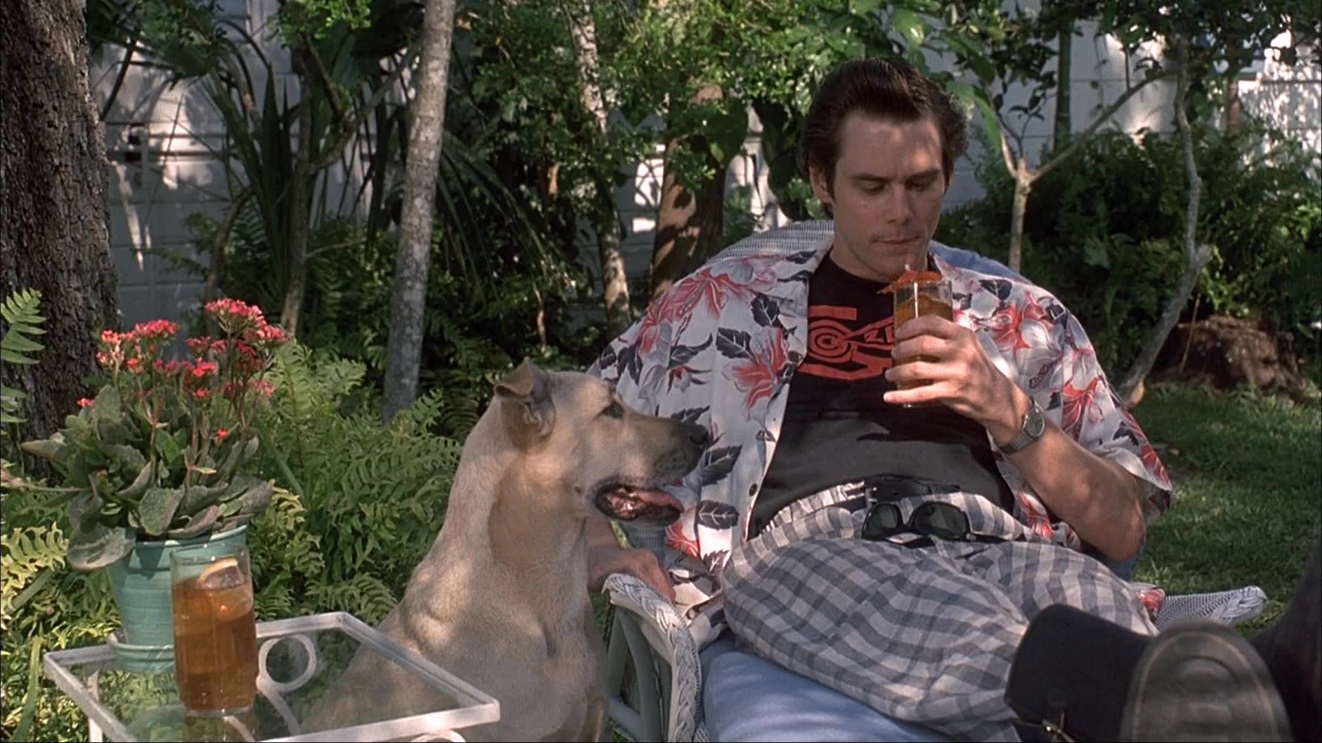 Ace Ventura: Pet Detective (1993), wide, 1.78:1 — film still