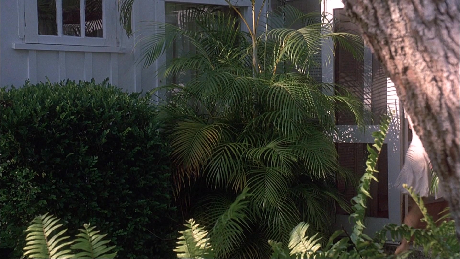 Ace Ventura: Pet Detective (1993), wide, 1.78:1 — film still