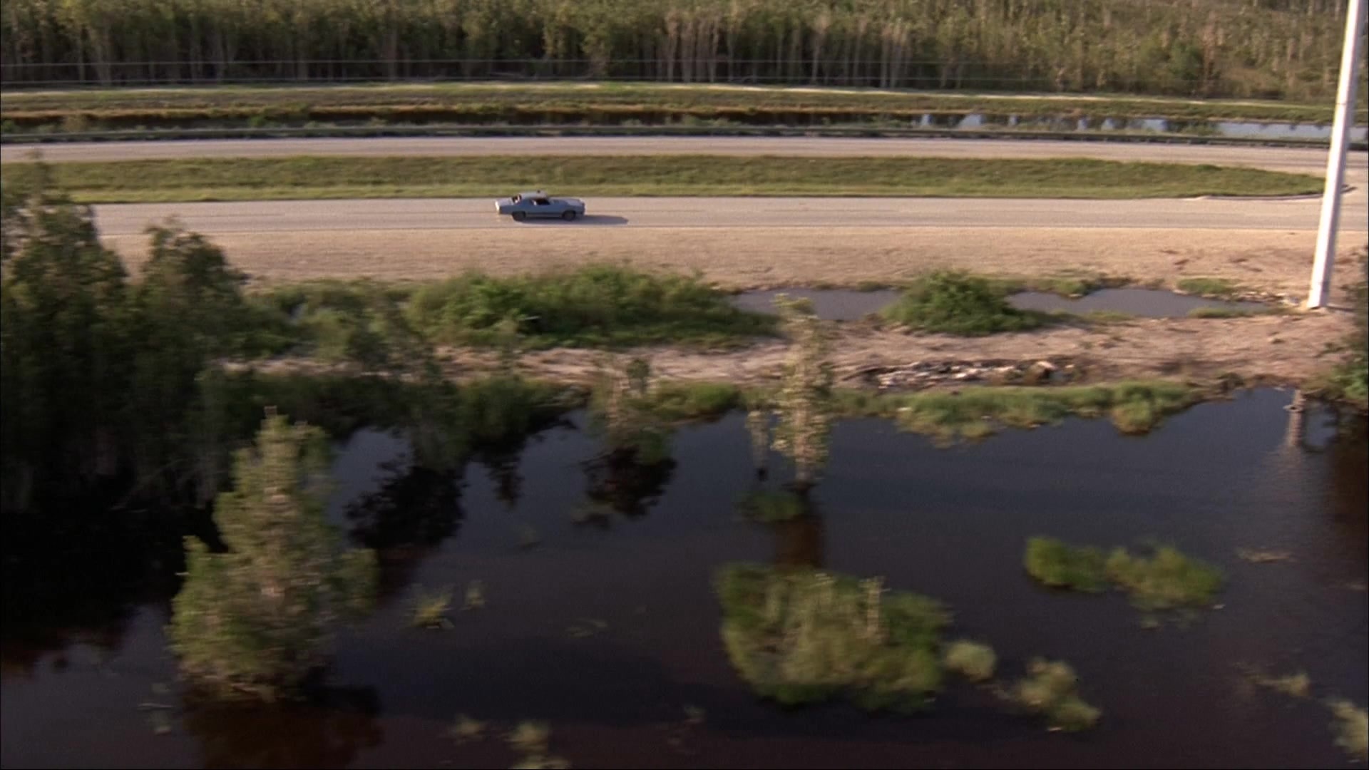 Ace Ventura: Pet Detective (1993), wide, 1.78:1 — film still