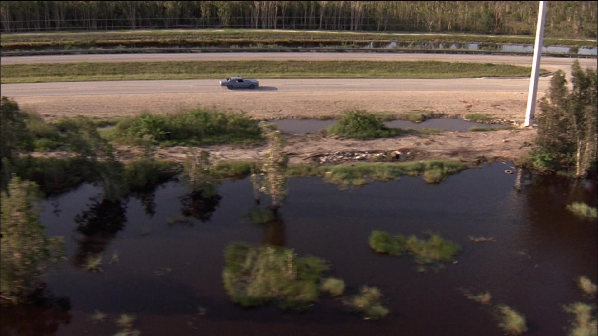 Ace Ventura: Pet Detective (1993), wide, 1.78:1 — film still
