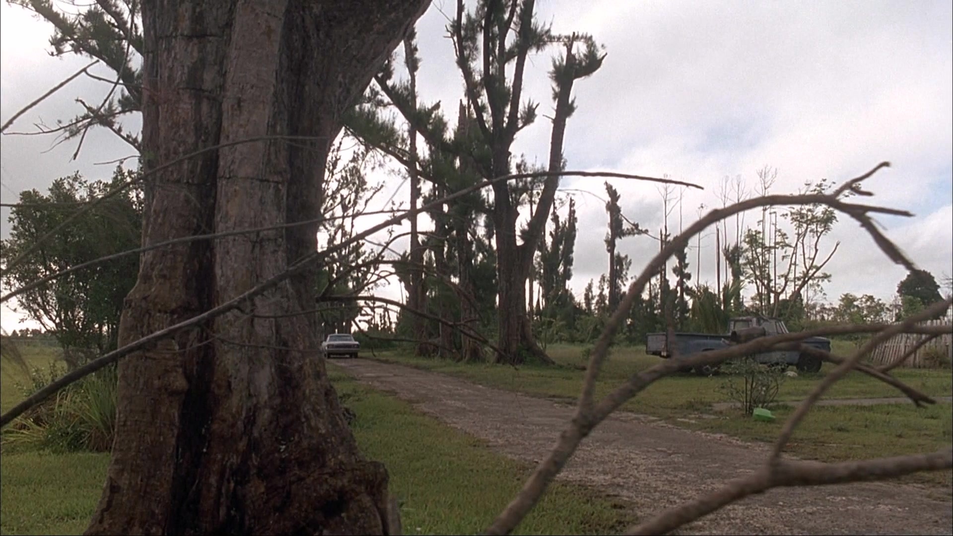 Ace Ventura: Pet Detective (1993), wide, 1.78:1 — film still