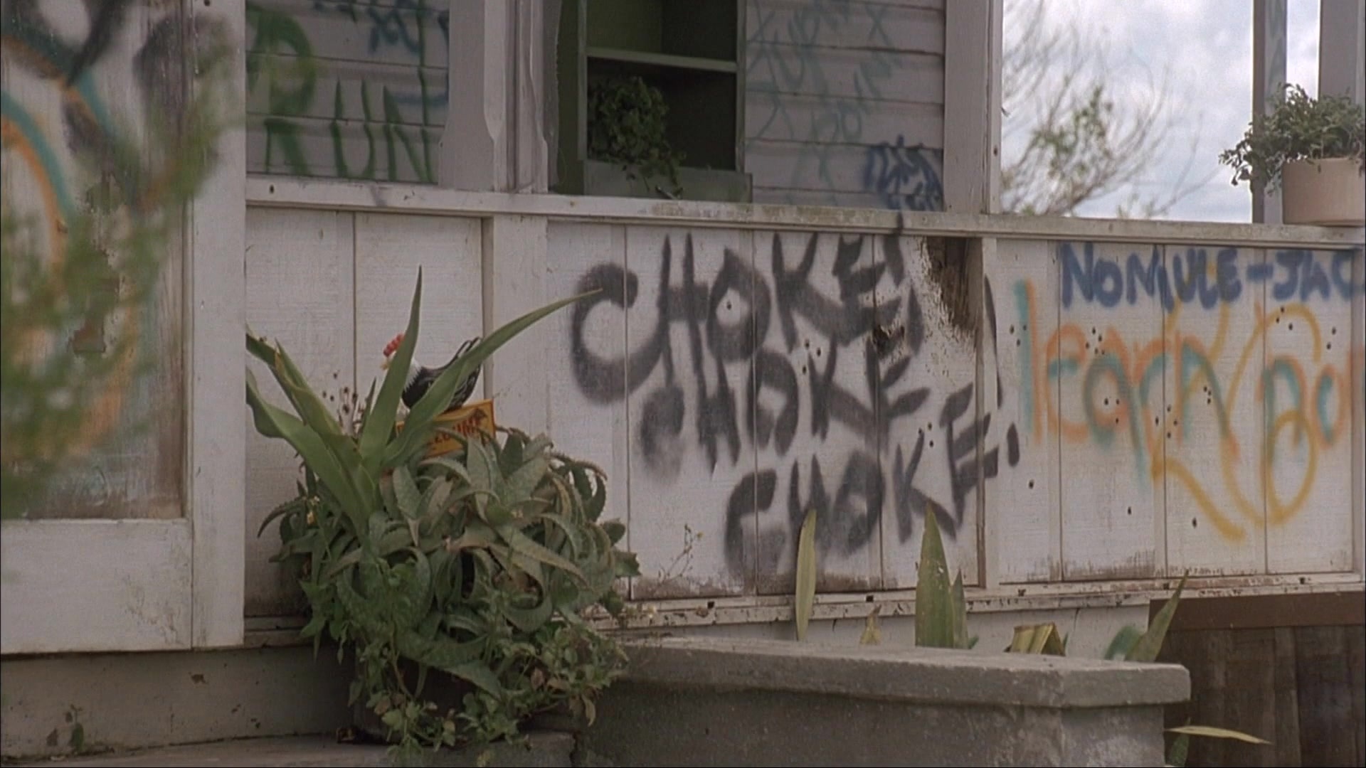 Ace Ventura: Pet Detective (1993), wide, 1.78:1 — film still