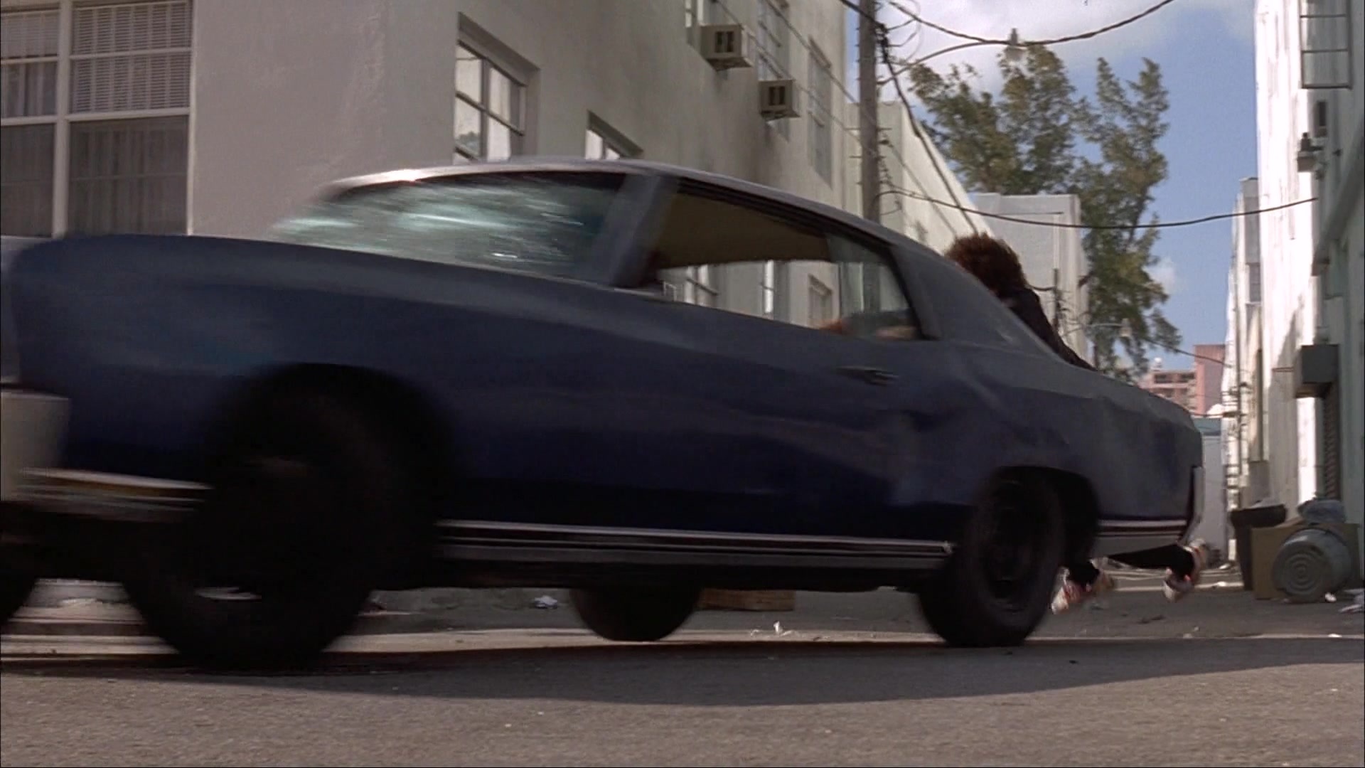 Ace Ventura: Pet Detective (1993), wide, 1.78:1 — film still