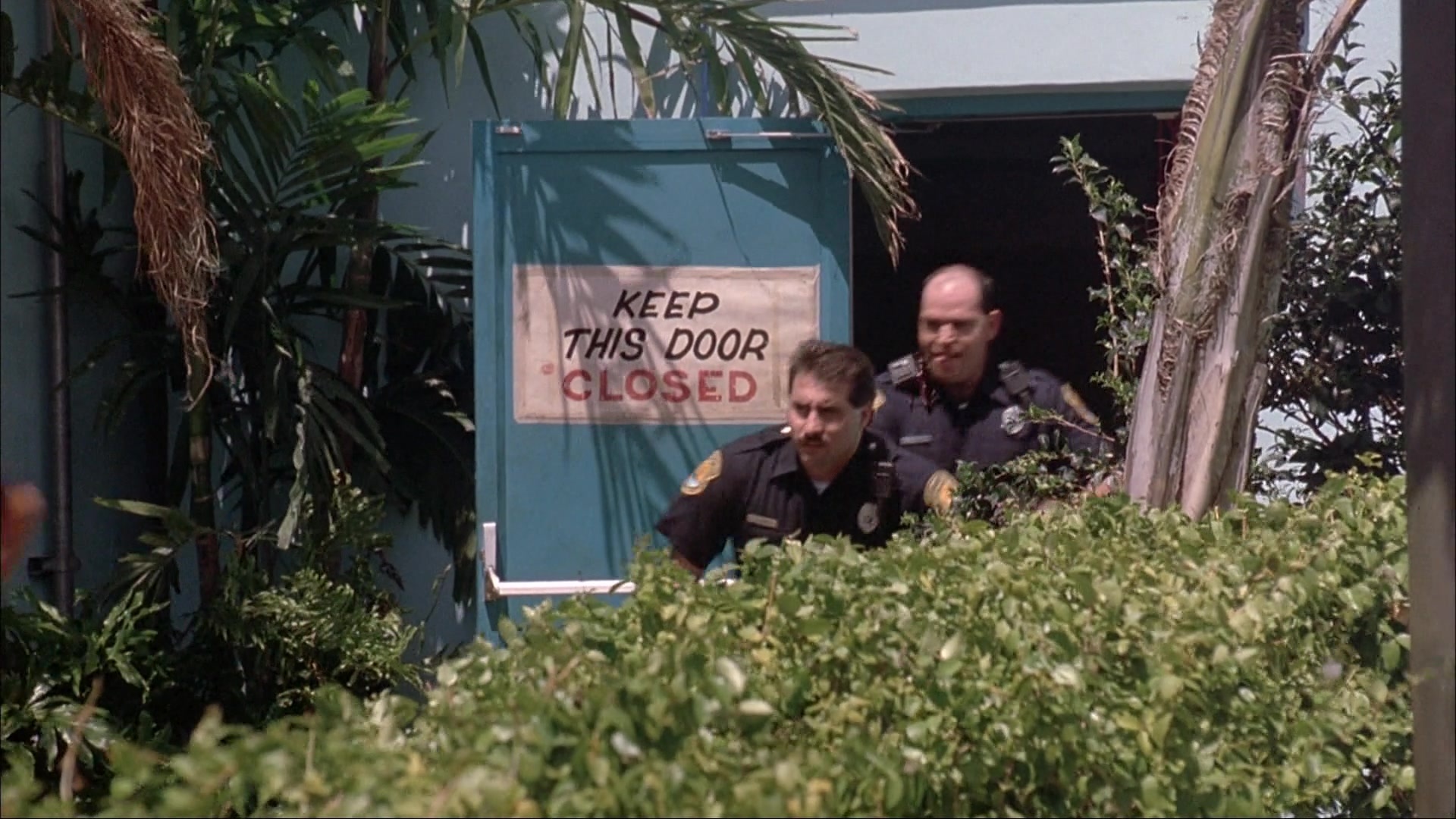 Ace Ventura: Pet Detective (1993), wide, 1.78:1 — film still