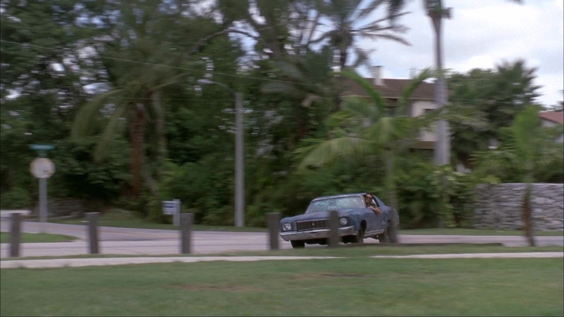 Ace Ventura: Pet Detective (1993), wide, 1.78:1 — film still