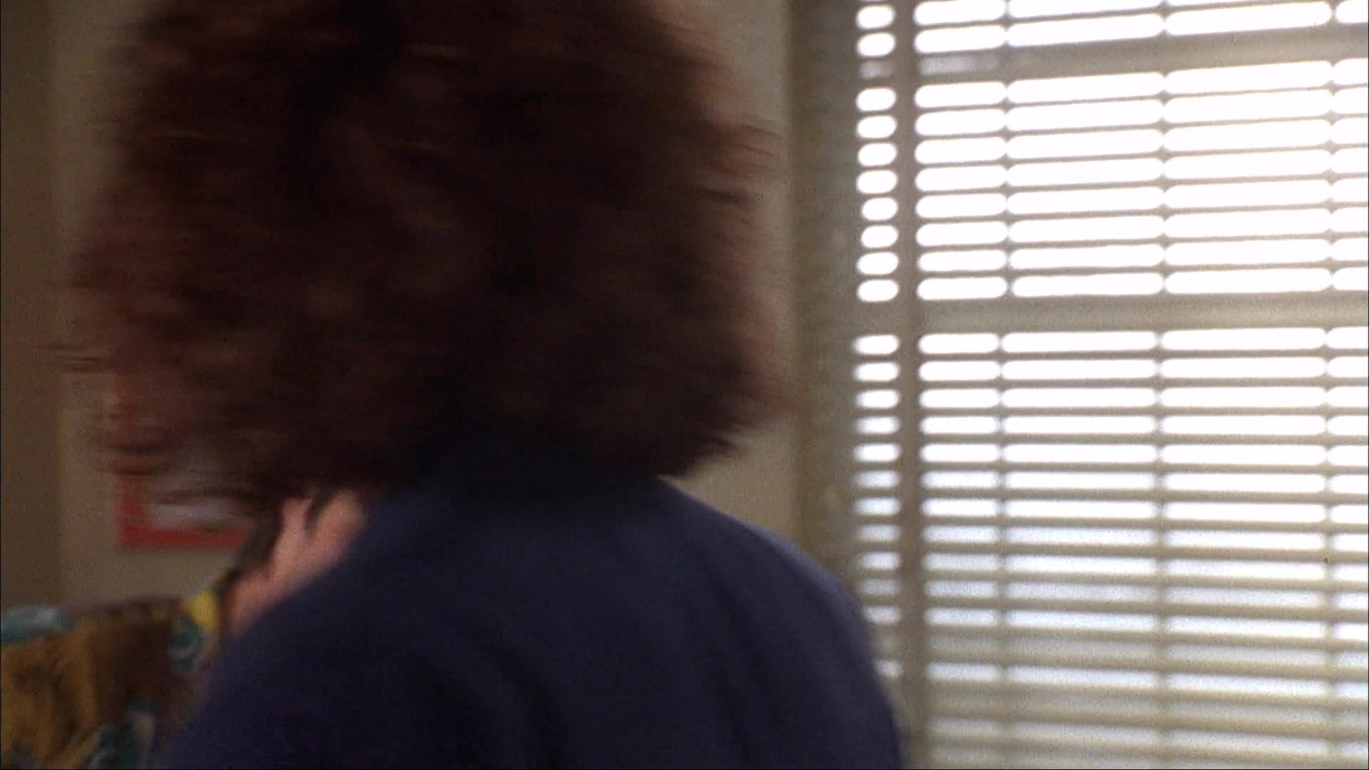 Ace Ventura: Pet Detective (1993), wide, 1.78:1 — film still