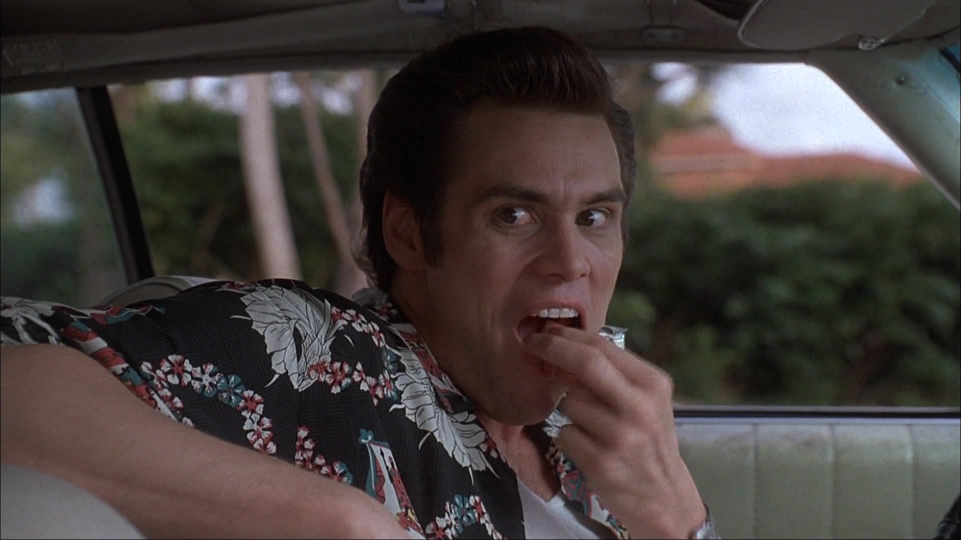 Ace Ventura: Pet Detective (1993), medium, 1.78:1 — film still