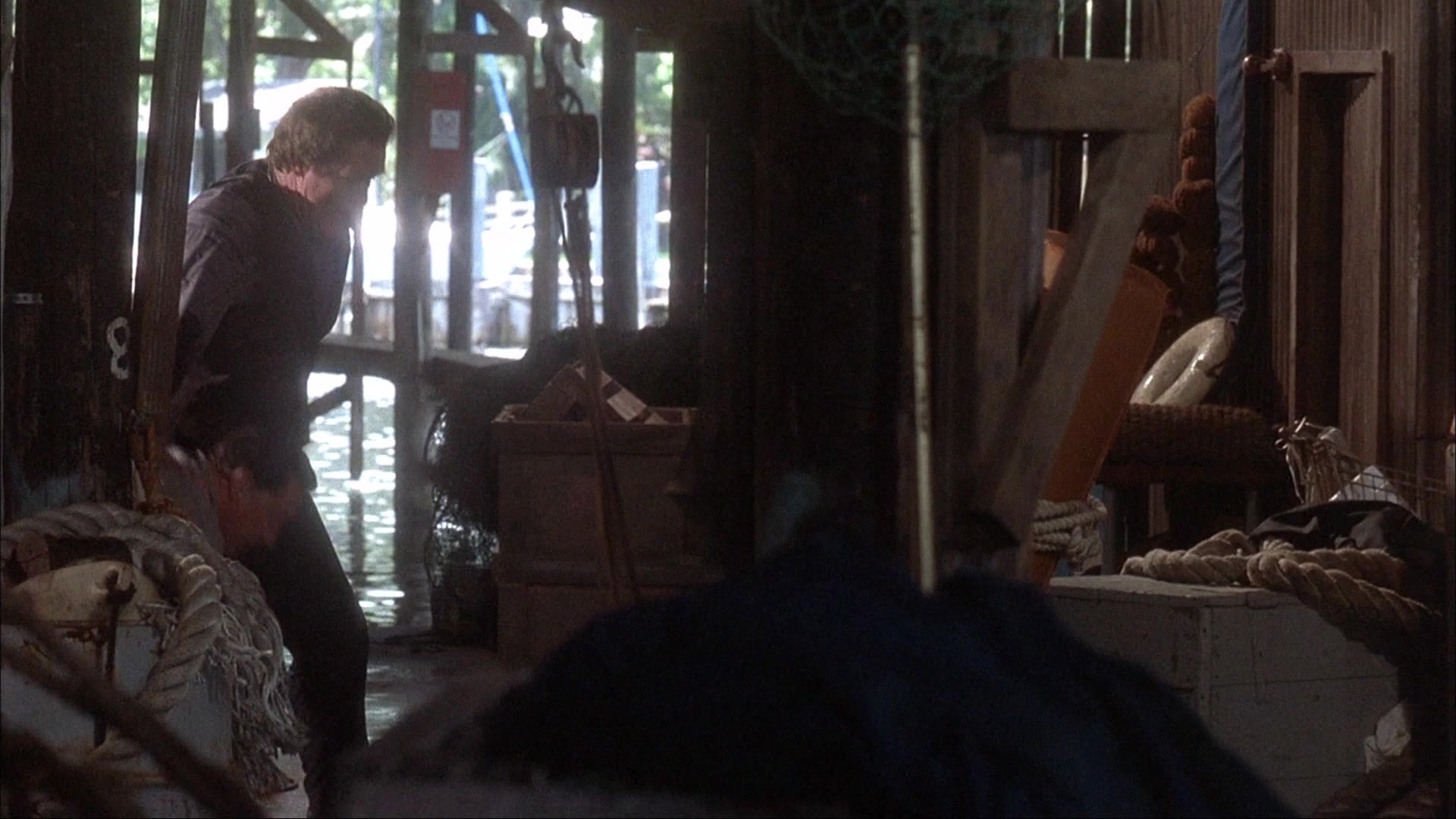 Ace Ventura: Pet Detective (1993), wide, 1.78:1 — film still