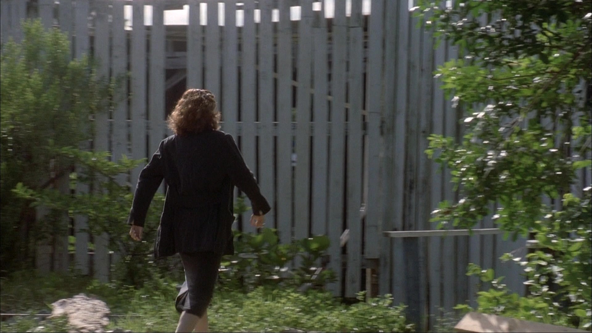 Ace Ventura: Pet Detective (1993), wide, 1.78:1 — film still