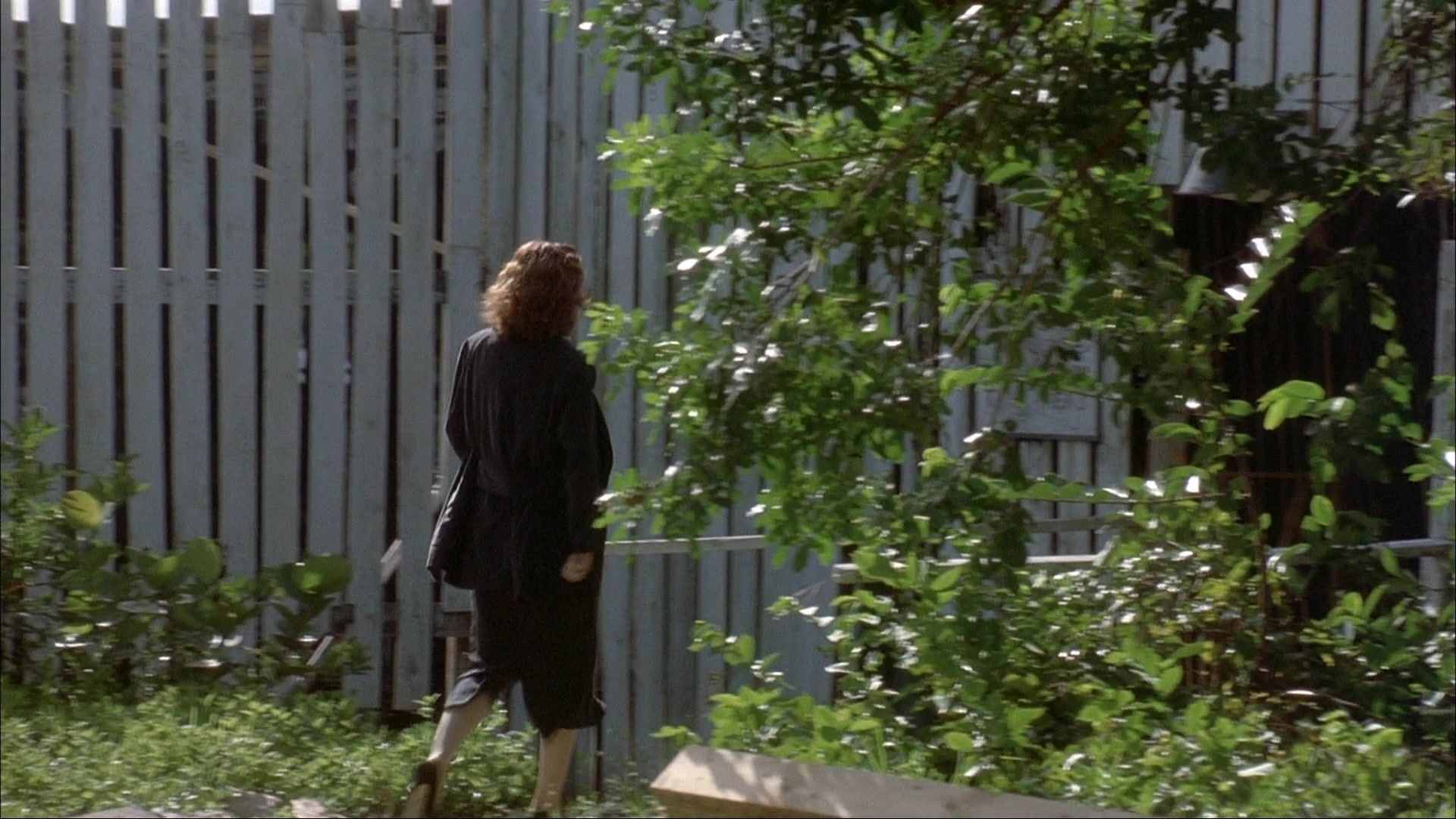 Ace Ventura: Pet Detective (1993), wide, 1.78:1 — film still