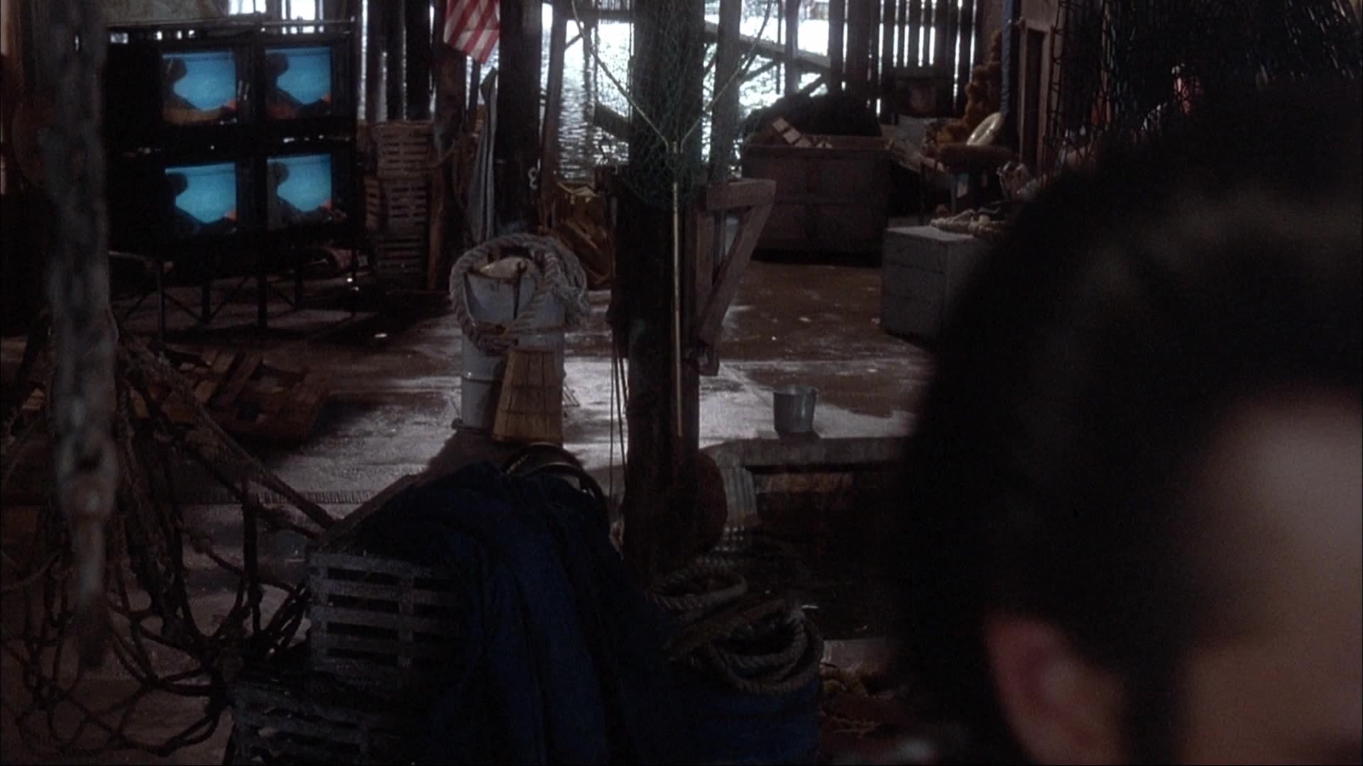 Ace Ventura: Pet Detective (1993), wide, 1.78:1 — film still