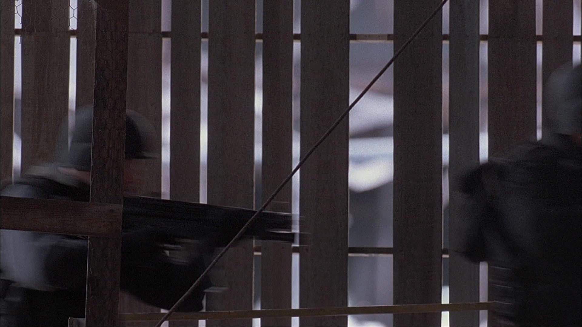 Ace Ventura: Pet Detective (1993), wide, 1.78:1 — film still