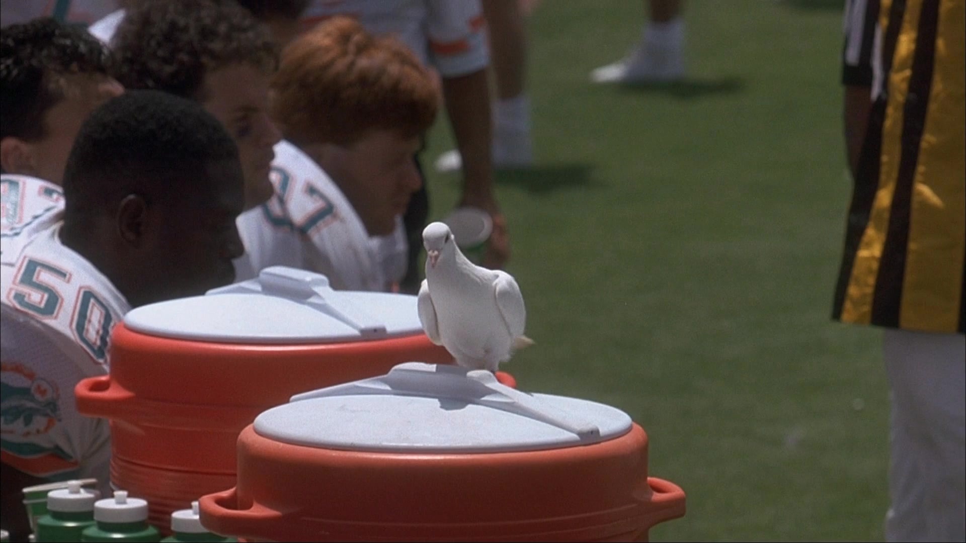 Ace Ventura: Pet Detective (1993), unknown, 1.78:1 — film still