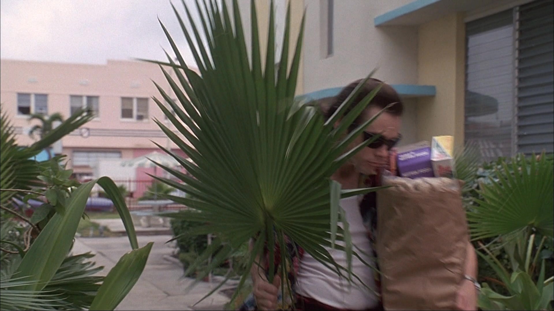 Ace Ventura: Pet Detective (1993), unknown, 1.78:1 — film still