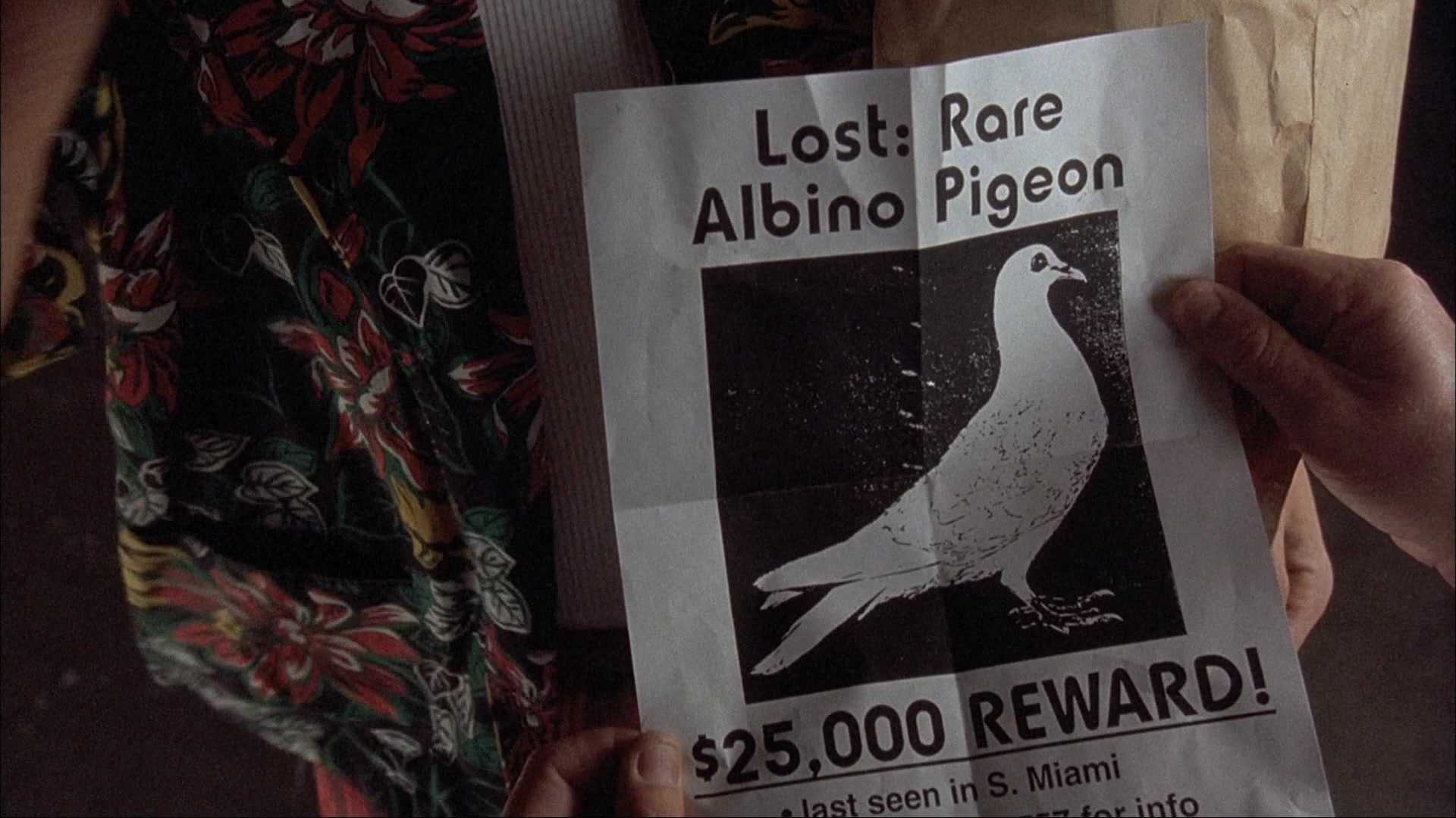 Ace Ventura: Pet Detective (1993), wide, 1.78:1 — film still