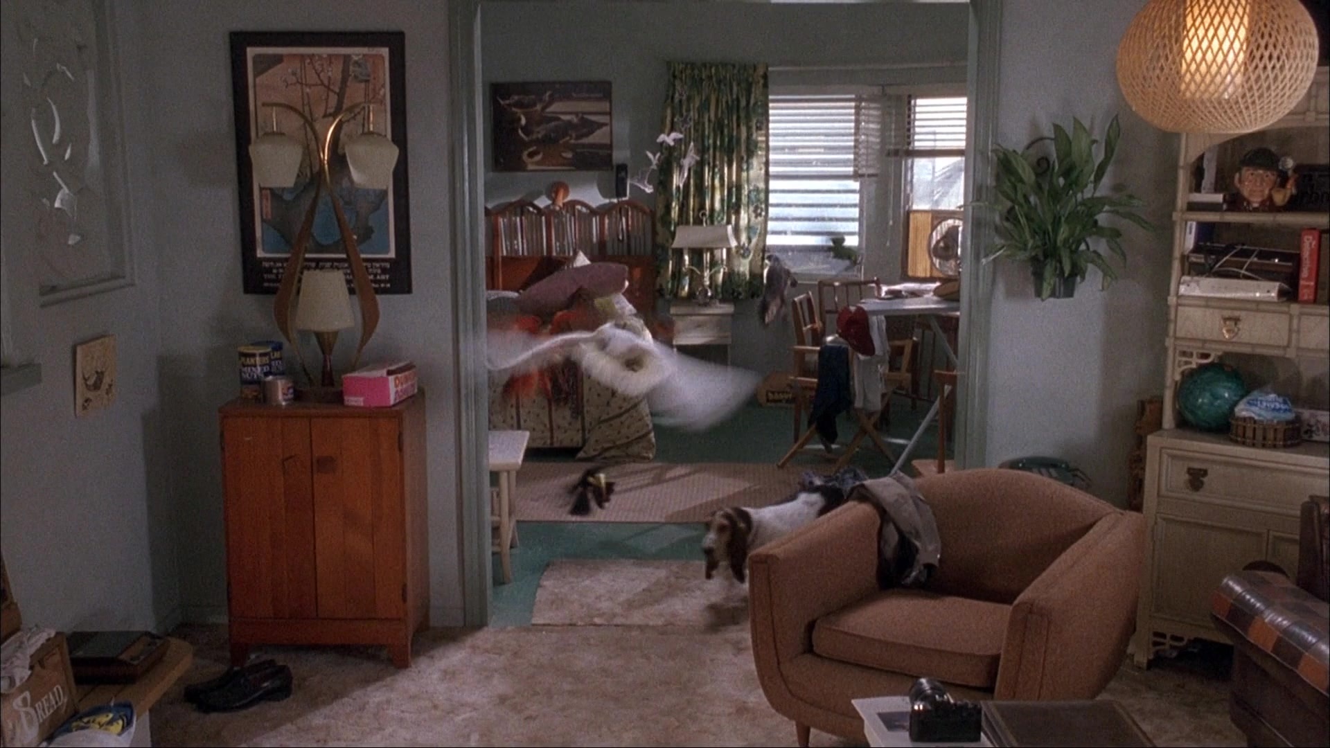 Ace Ventura: Pet Detective (1993), wide, 1.78:1 — film still