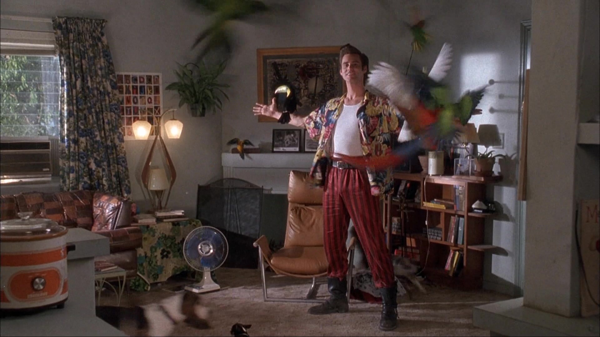 Ace Ventura: Pet Detective (1993), wide, 1.78:1 — film still