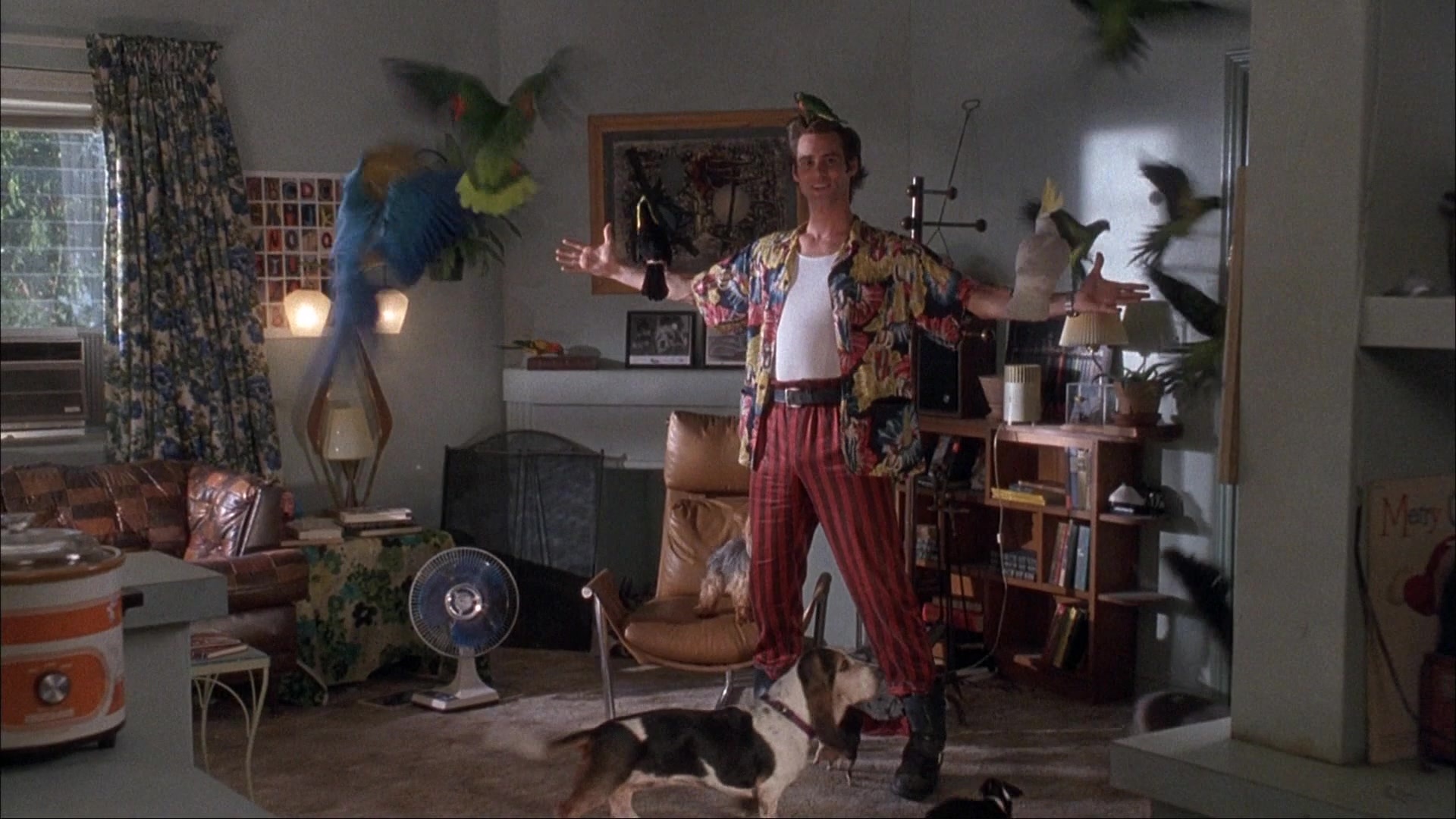 Ace Ventura: Pet Detective (1993), wide, 1.78:1 — film still