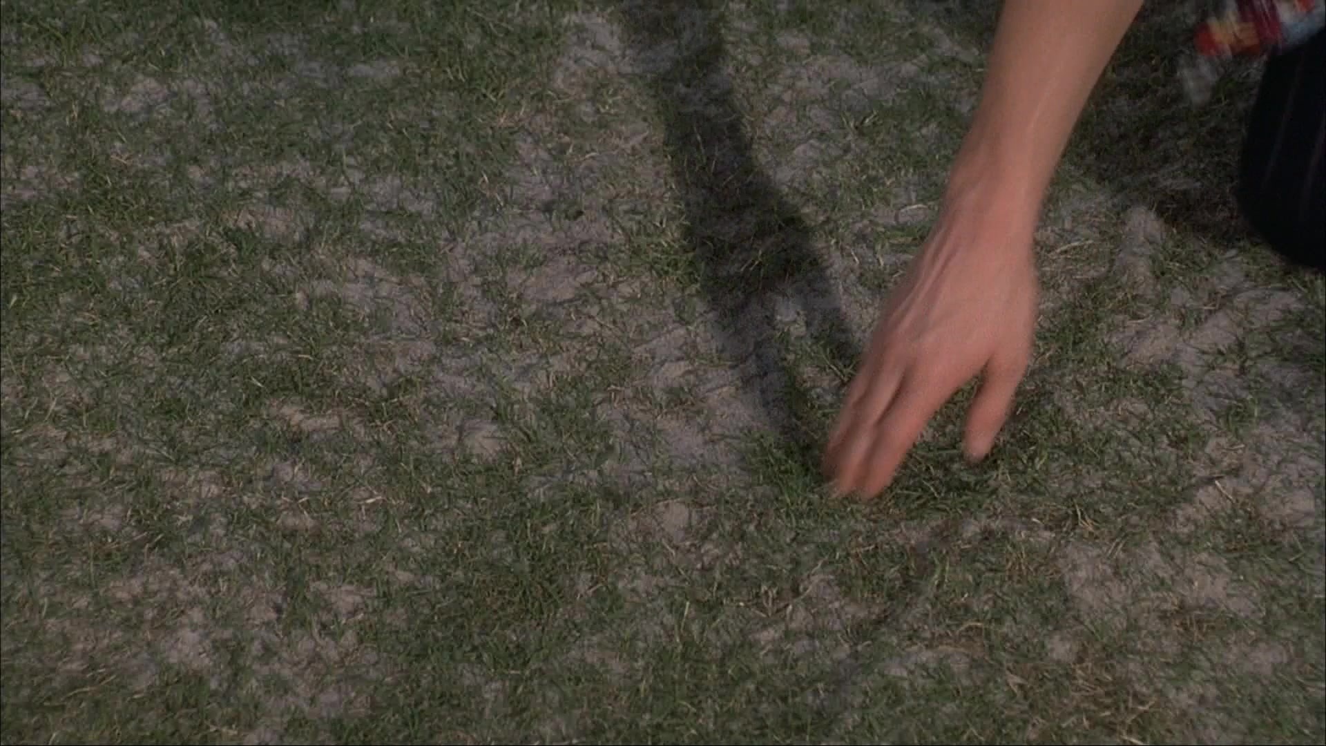 Ace Ventura: Pet Detective (1993), wide, 1.78:1 — film still