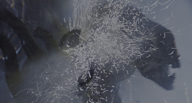 Wide shot frame from Aliens — animal, face, glass