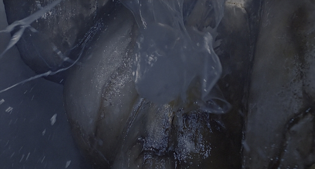 Wide shot frame from Aliens — animal, water