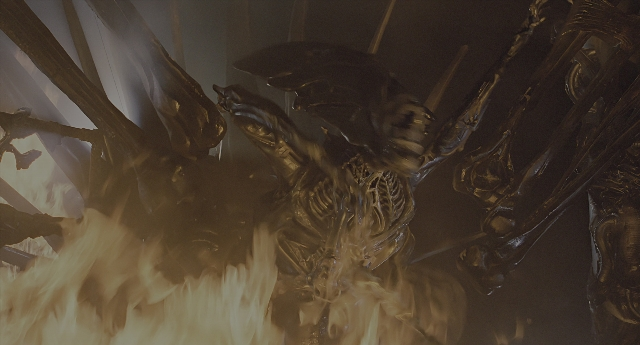 Wide shot frame from Aliens — standing, fire, human face