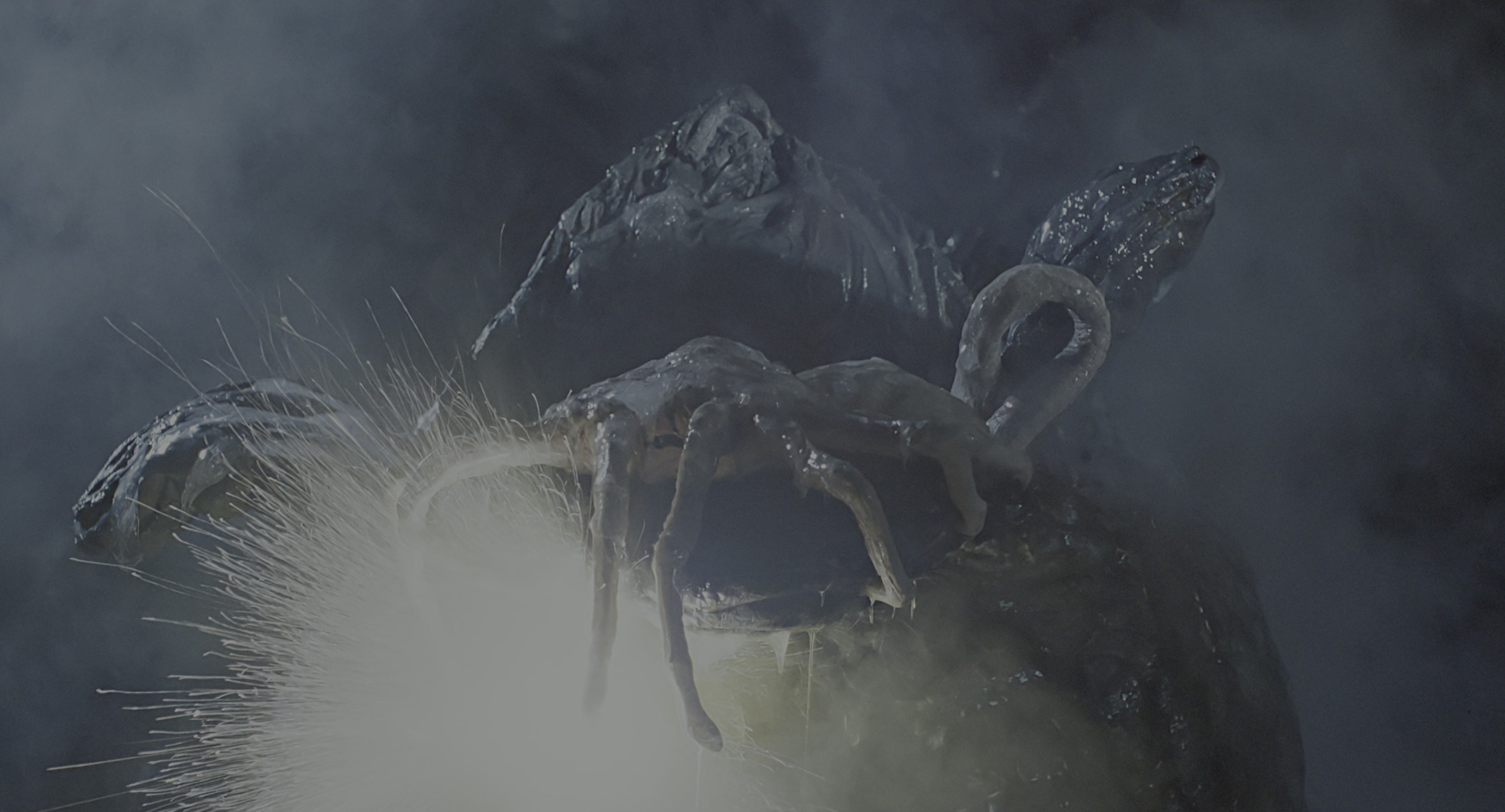 Aliens (1986), wide, 1.85:1 — film still