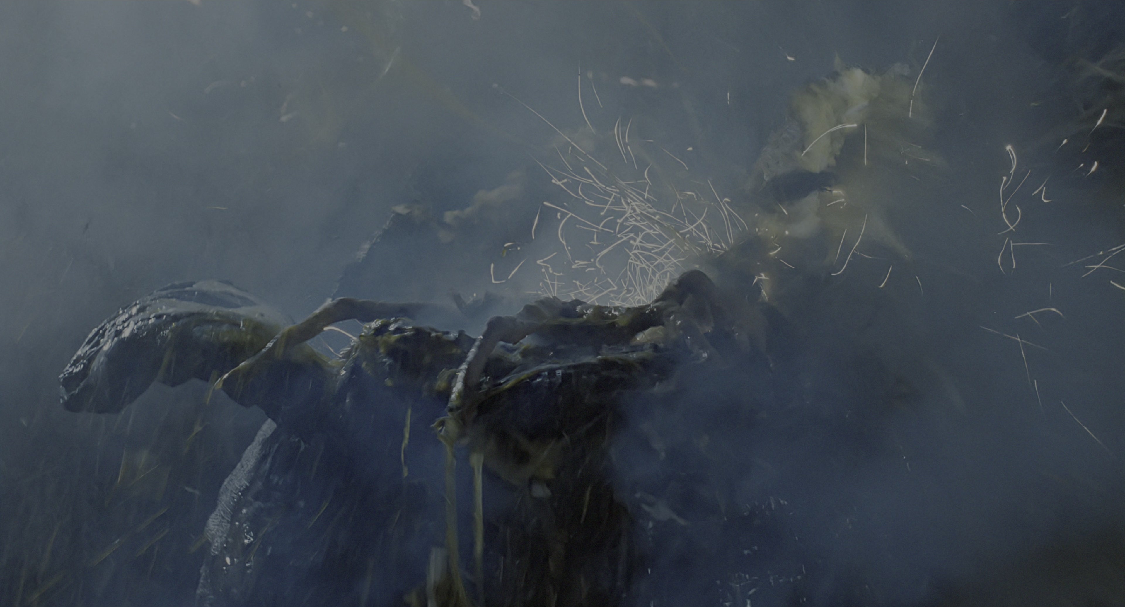 Aliens (1986), wide, 1.85:1 — film still