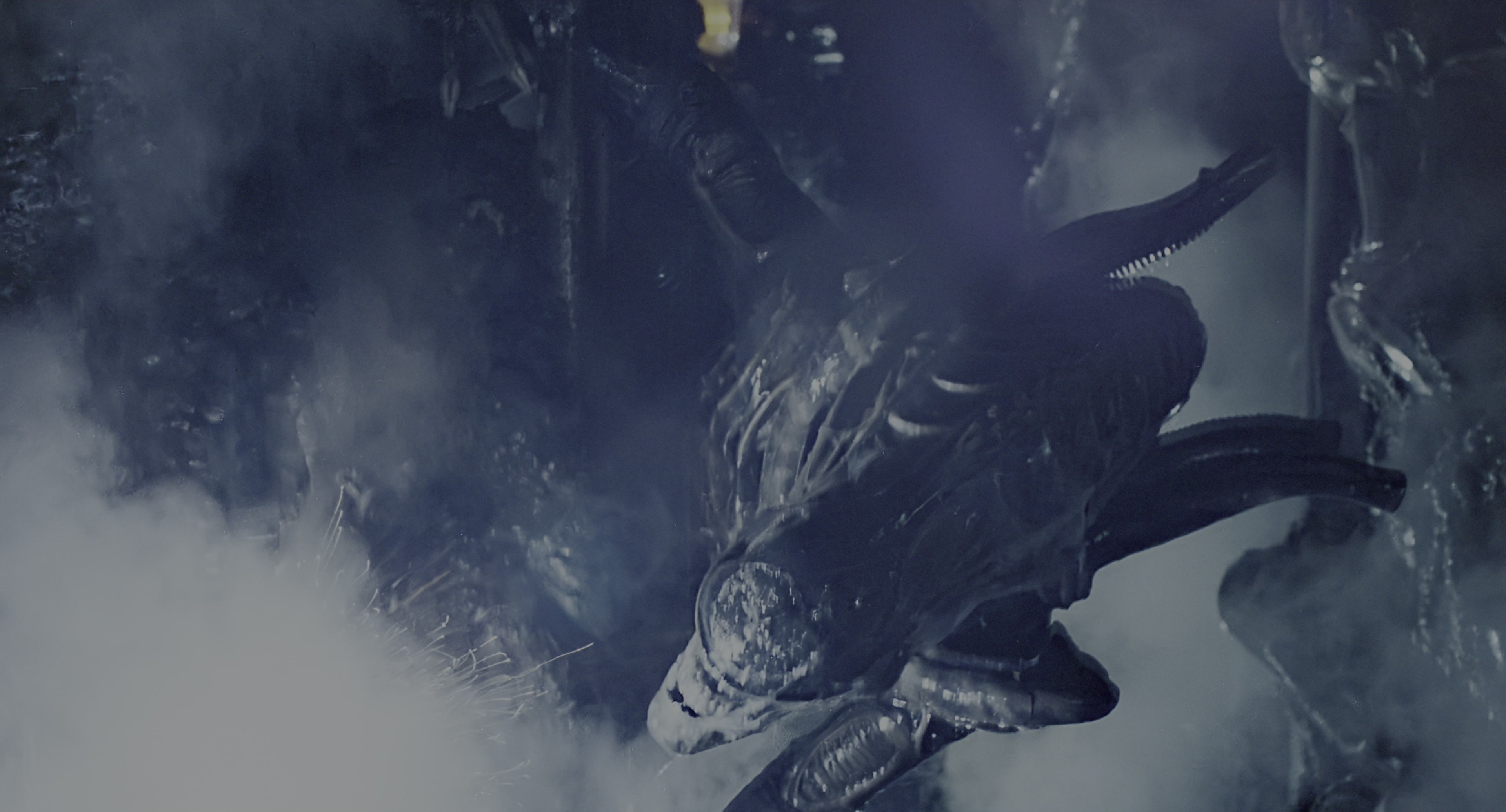 Aliens (1986), wide, 1.85:1 — film still
