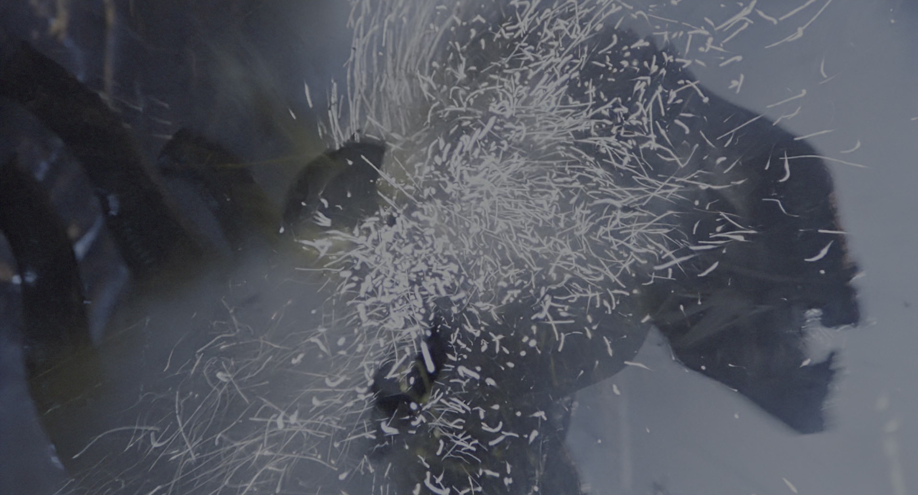 Aliens (1986), wide, 1.85:1 — film still