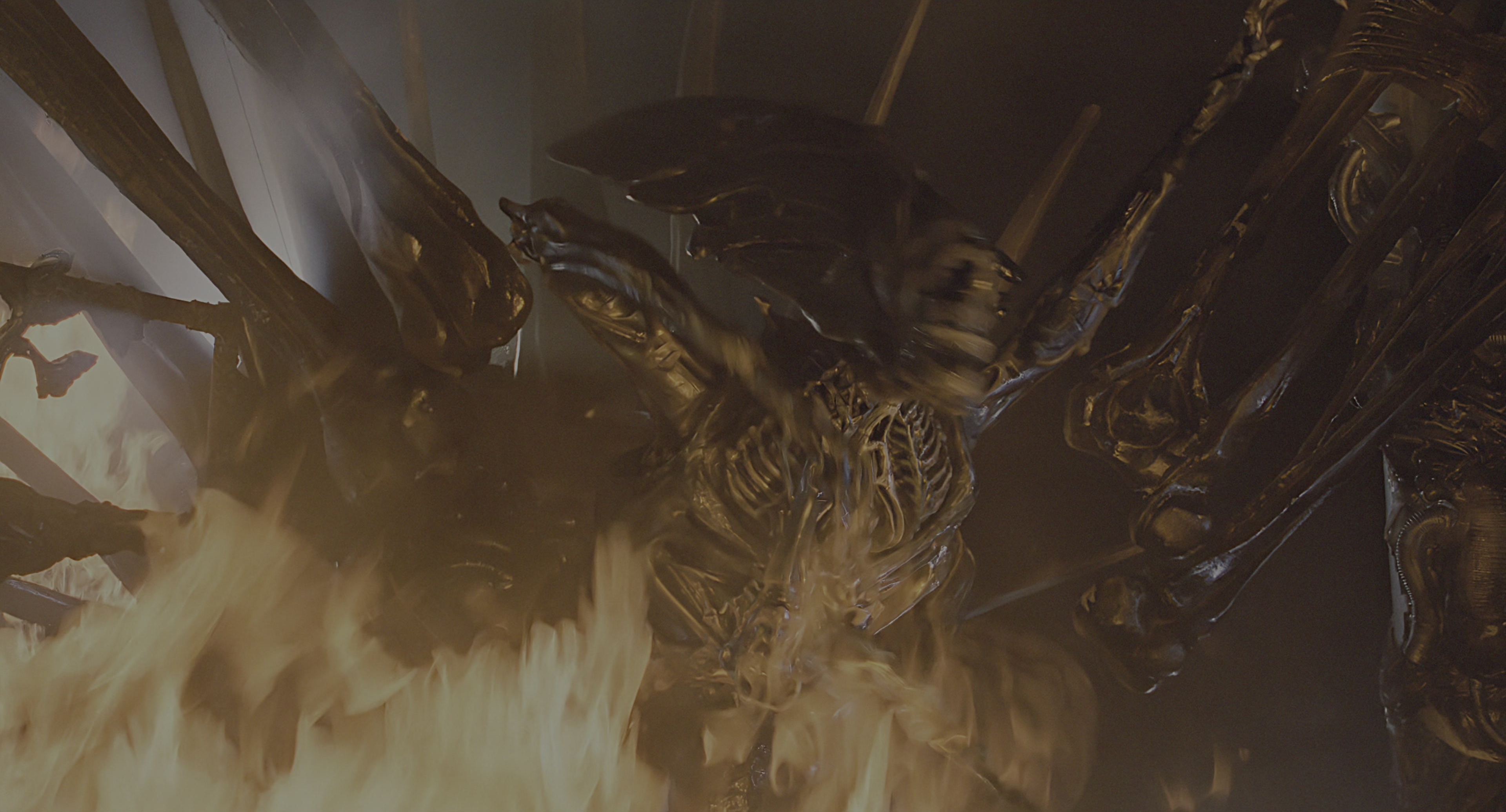 Aliens (1986), wide, 1.85:1 — film still