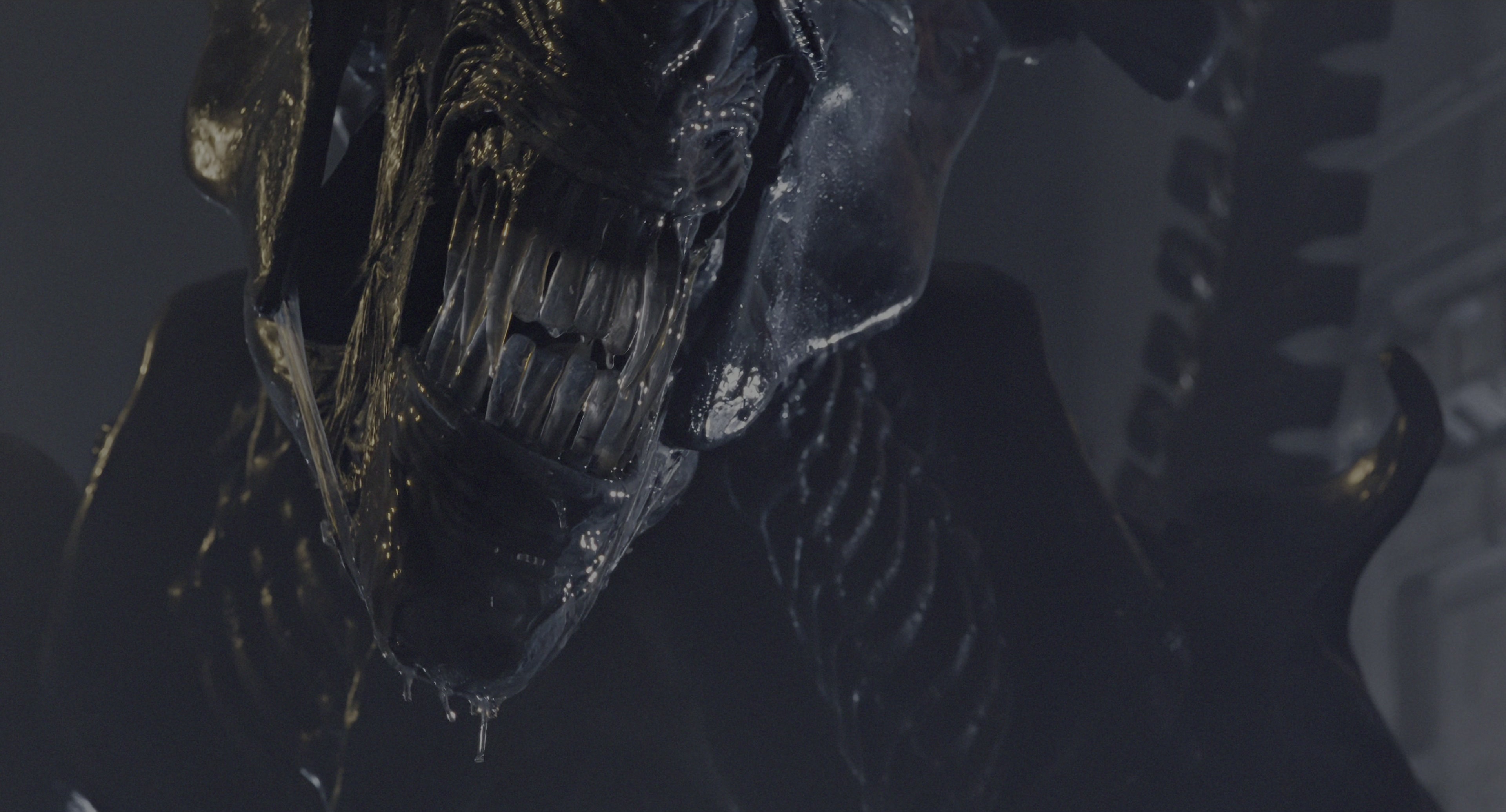 Aliens (1986), wide, 1.85:1 — film still